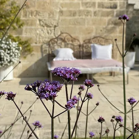 马塞里亚塔斯帕蒂旅馆 3* 孔卡斯普奇拉