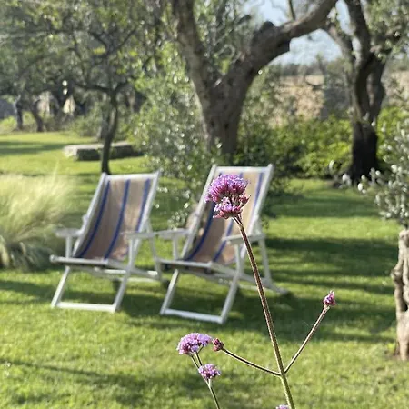 ファームステイ Masseria Spartivento *