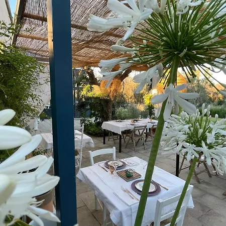 马塞里亚塔斯帕蒂旅馆 招待所 孔卡斯普奇拉