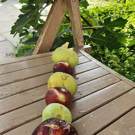 马塞里亚塔斯帕蒂旅馆 孔卡斯普奇拉