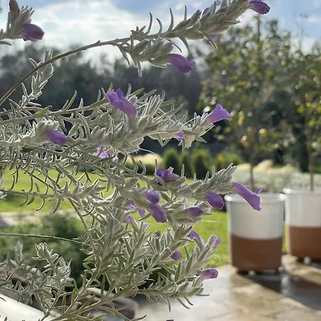 马塞里亚塔斯帕蒂旅馆 3*