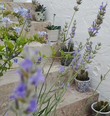 马塞里亚塔斯帕蒂旅馆 孔卡斯普奇拉