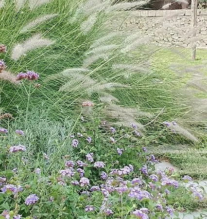 ファームステイ Masseria Spartivento *