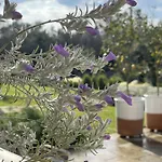 Masseria Spartivento *