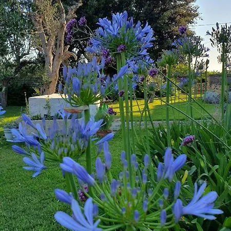 Farma Masseria Spartivento