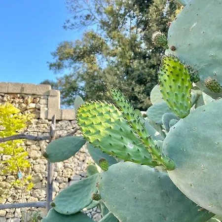 Masseria Spartivento