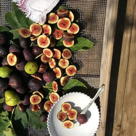 Pensionat Masseria Spartivento 3*