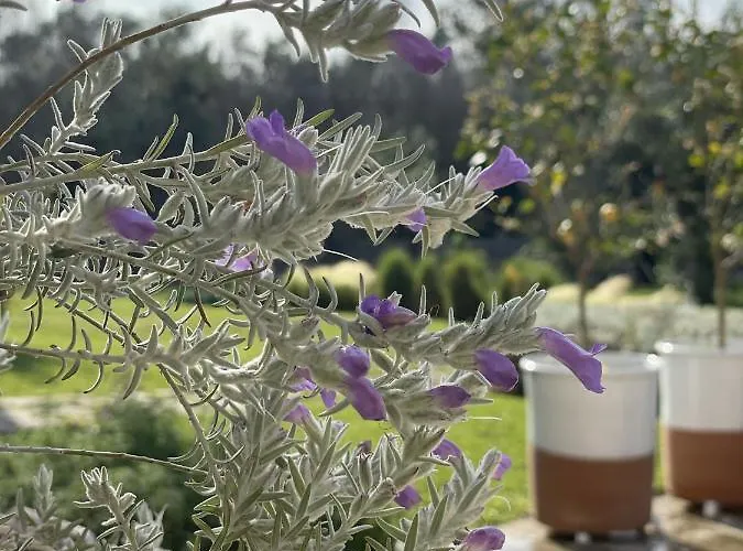 Masseria Spartivento 3*