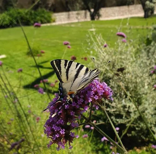 Masseria Spartivento 3*
