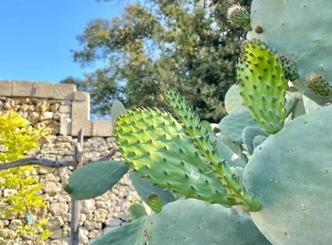 Masseria Spartivento